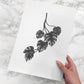 Monstera Cheese Plant Print